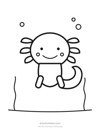 Axolotl