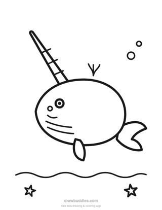 Narwhal