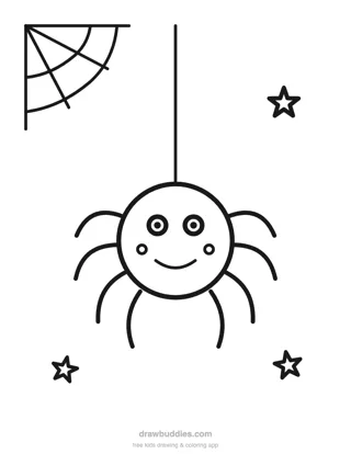 Spider